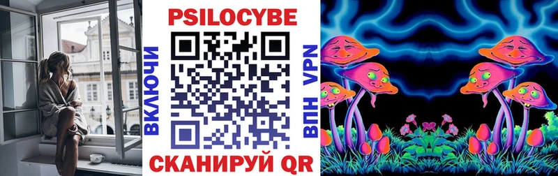 Псилоцибиновые грибы мицелий  Верхняя Пышма 